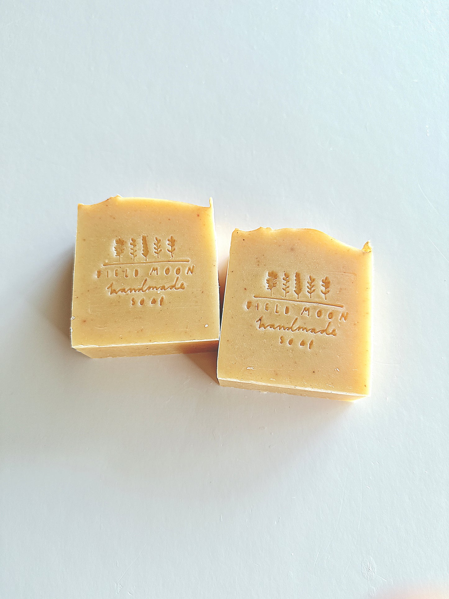 Fresh Pumpkin Soap