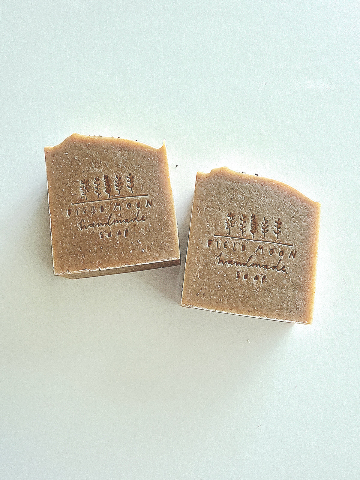 Fresh Pumpkin Soap