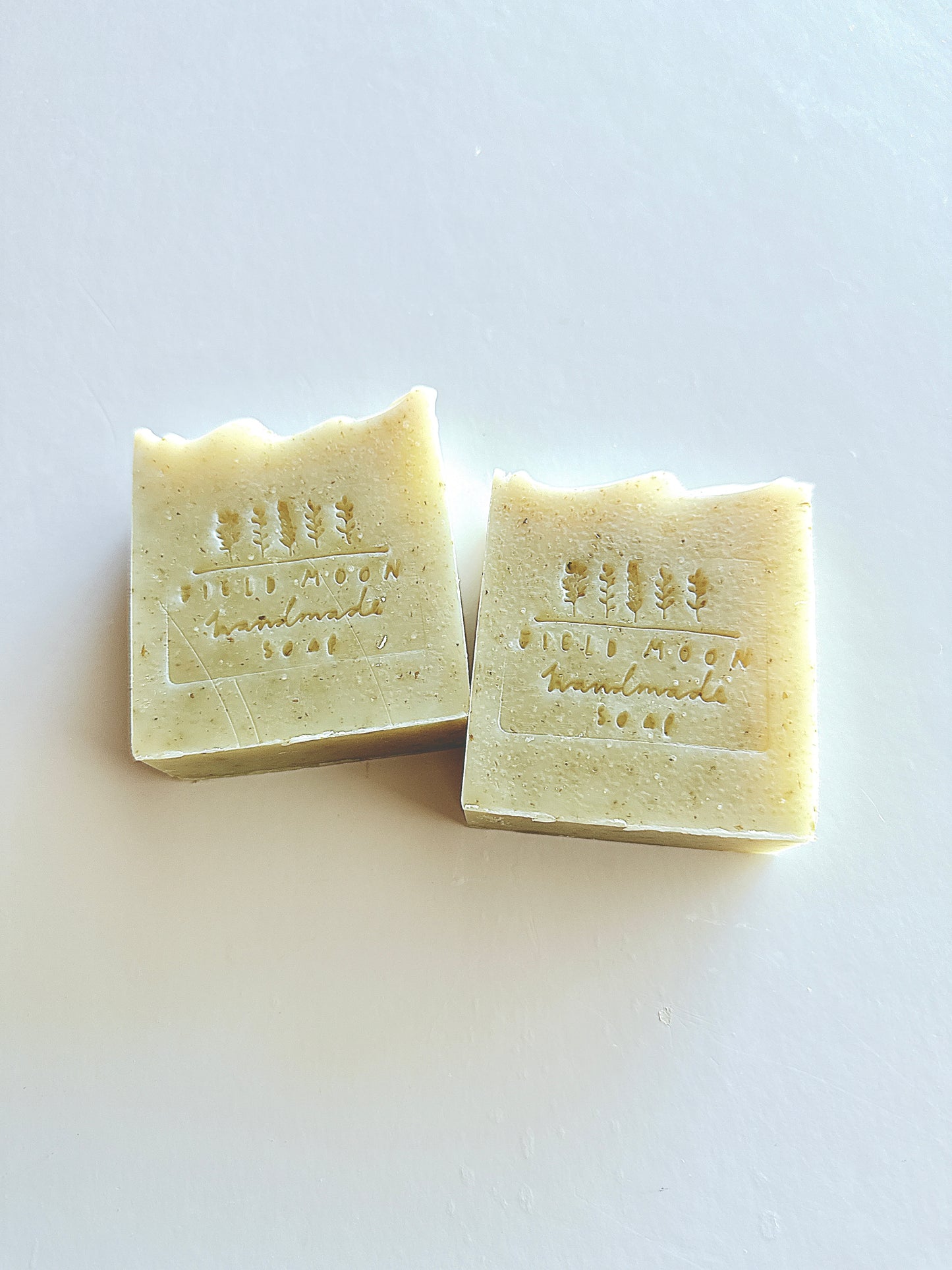 Whidbey Island’s Kelp Soap