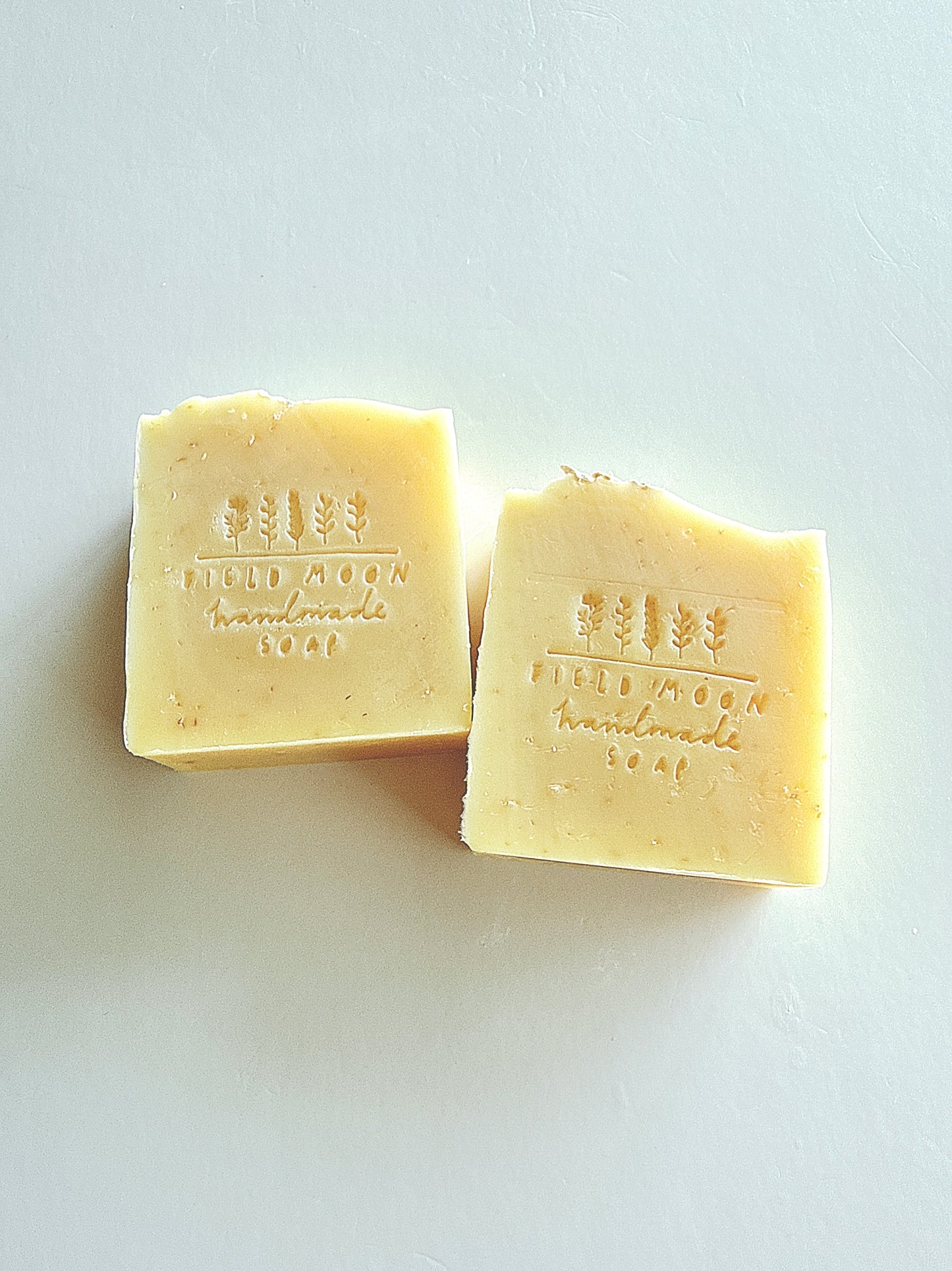 NEW Orange & Oatmeal Soap