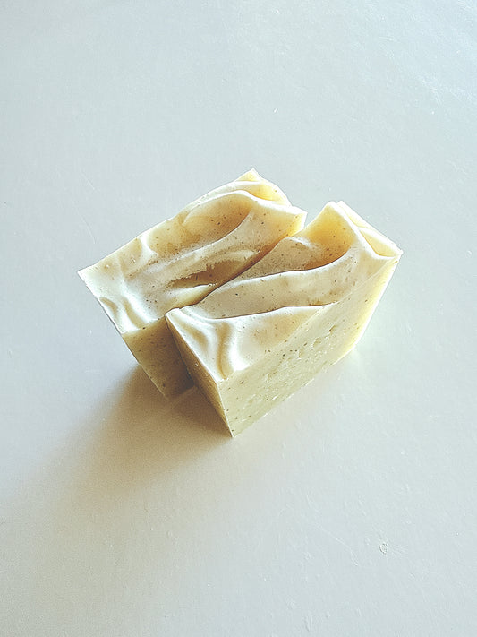 Whidbey Island’s Kelp Soap