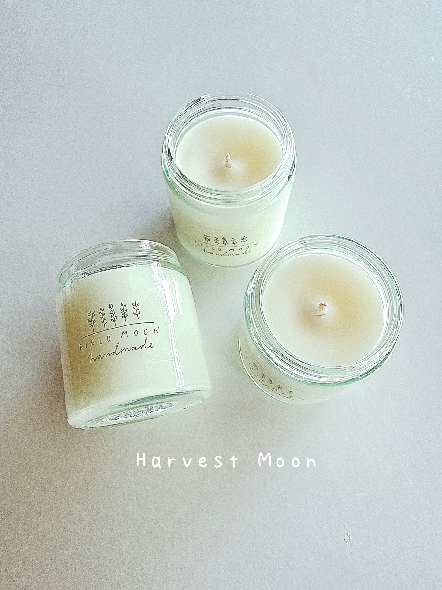 Candle - Coconut & Soy Wax Blend